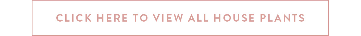 Click here to view all house plants