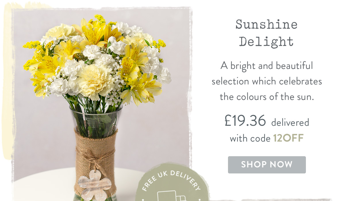 Sunshine Delight - only &pound;19.36