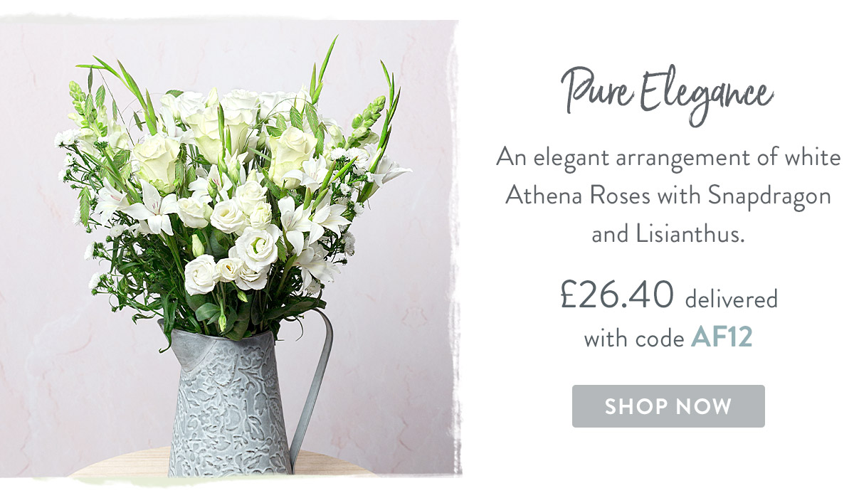 Pure Elegance - only &pound;26.40 delivered