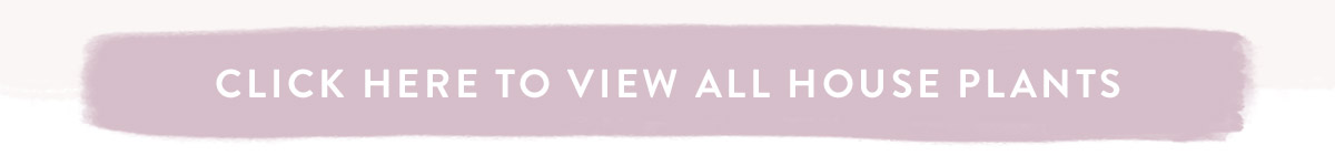 Click here to view all House Plants