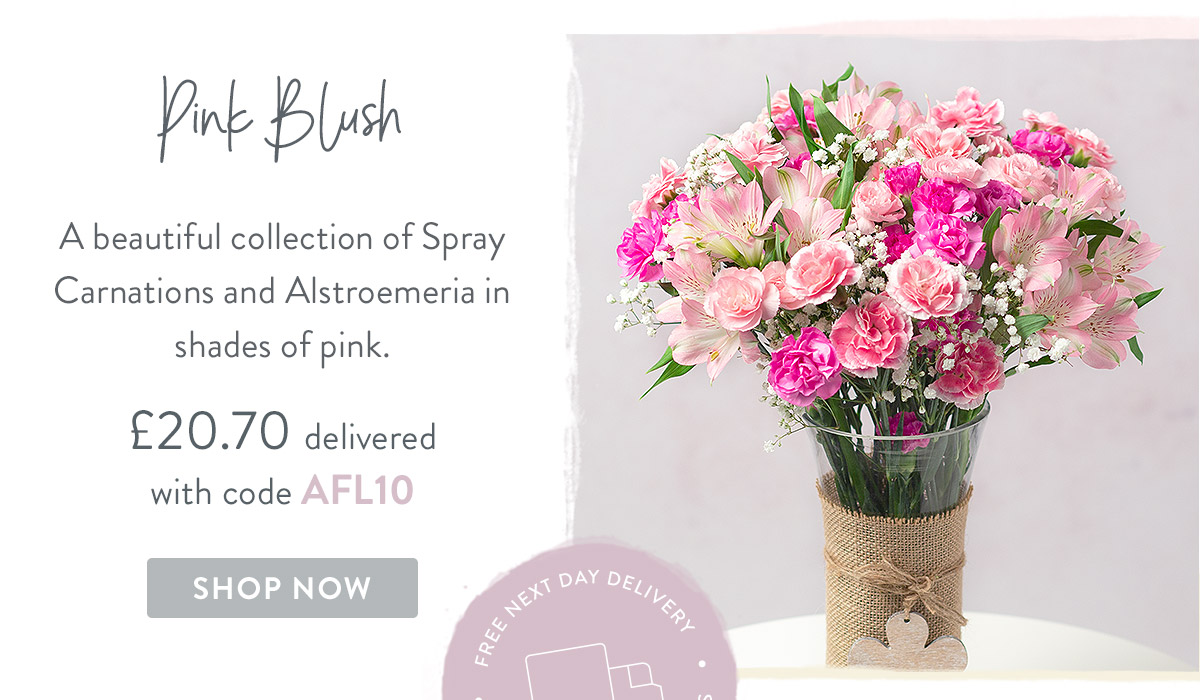 Pink Blush- only &pound;20.70 delivered