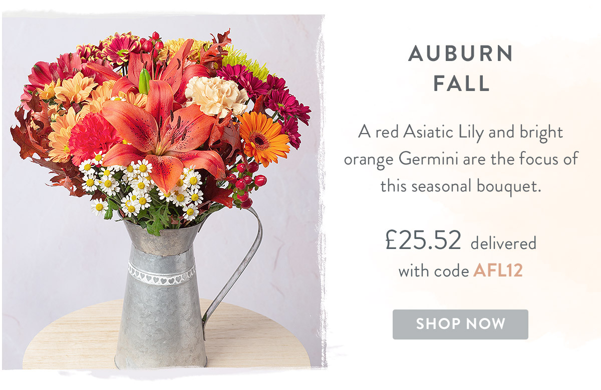 Auburn Fall - only &pound;26.10
