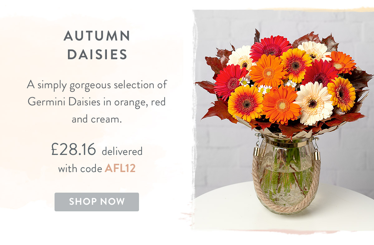 Autumn Daisies - only &pound;28.80