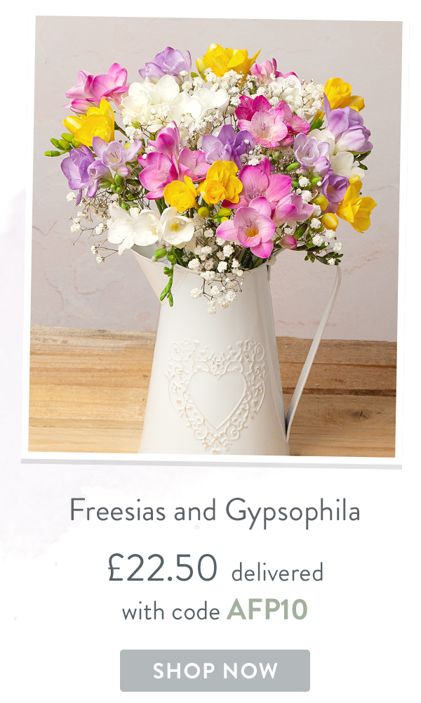 Freesias and Gypsophila - Only &pound;22.50 delivered with code