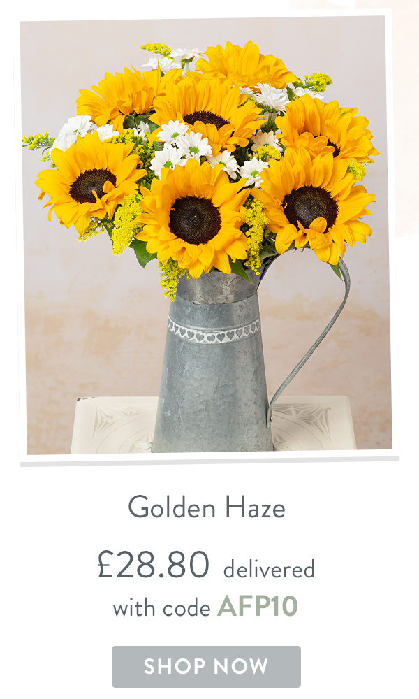 Golden Haze - Only &pound;28.80 delivered with code