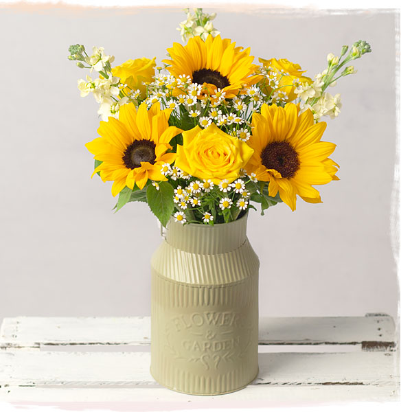 Summer Glow - Only &pound;22.50 delivered