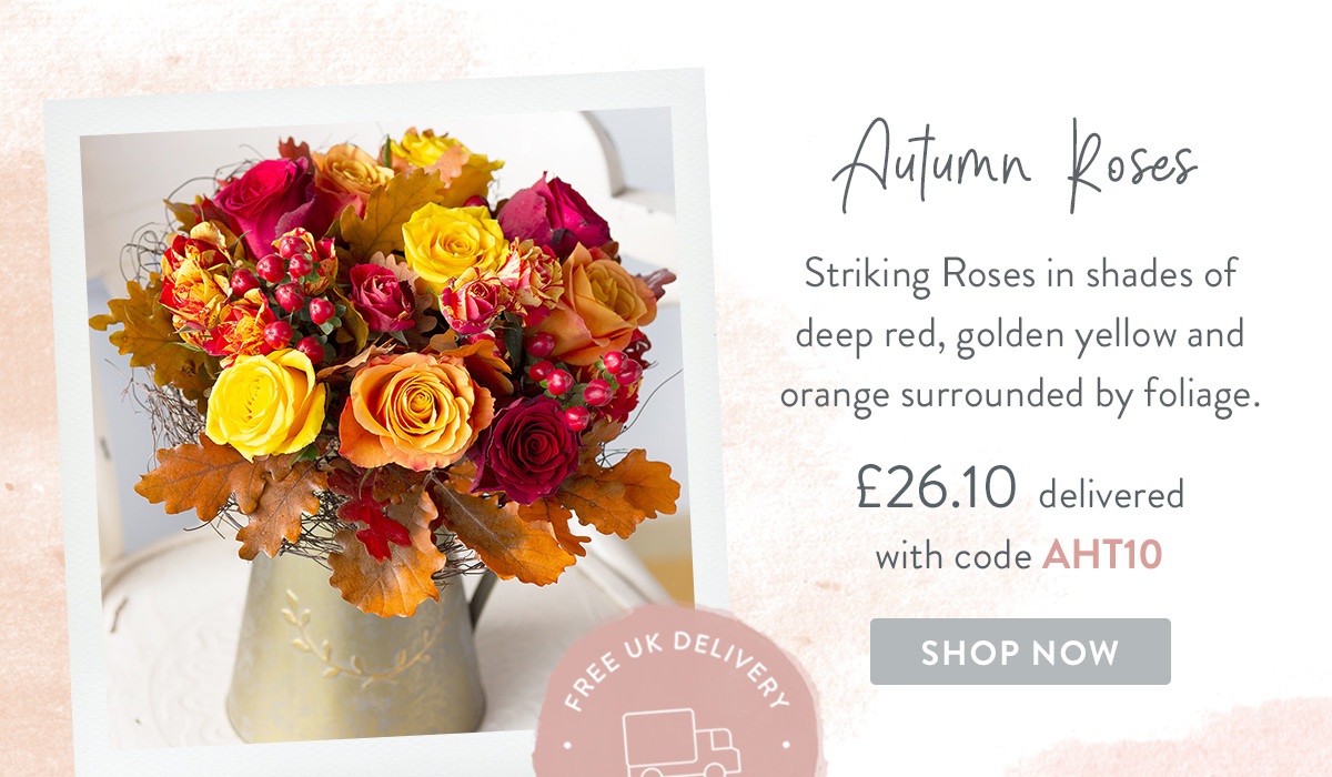 Autumn Roses- only &pound;26.10