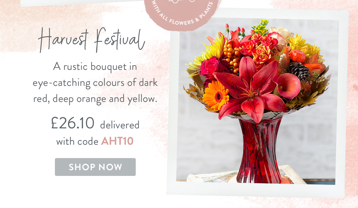 Harvest Festival- only &pound;26.10