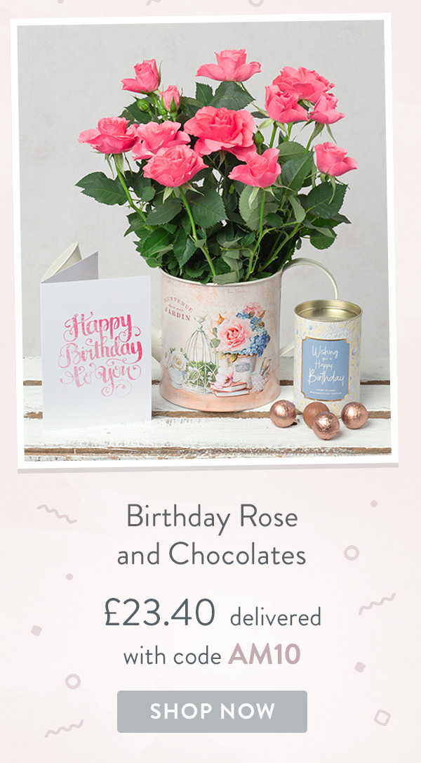 Birthday Rose & Chocolate - only &pound;23.40