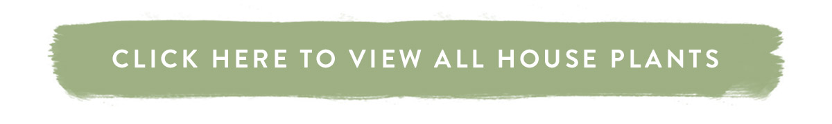 Click here to view all house plants
