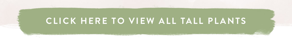 Click here to view all tall plants