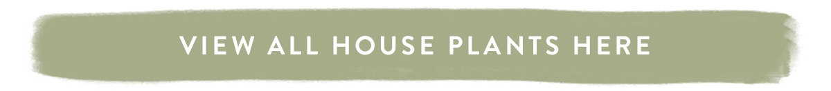 View all House Plants here
