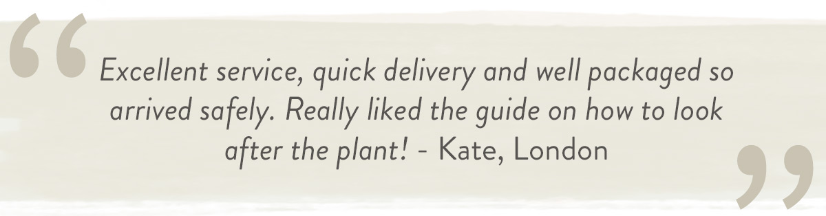 Customer testimonial