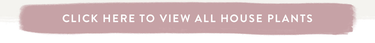 Click here to view all House Plants