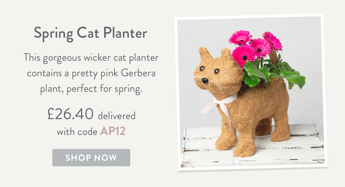 Spring Cat Planter - only &pound;26.40 delivered