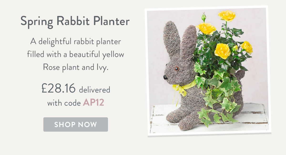 Spring Rabbit Planter - only &pound;28.16 delivered