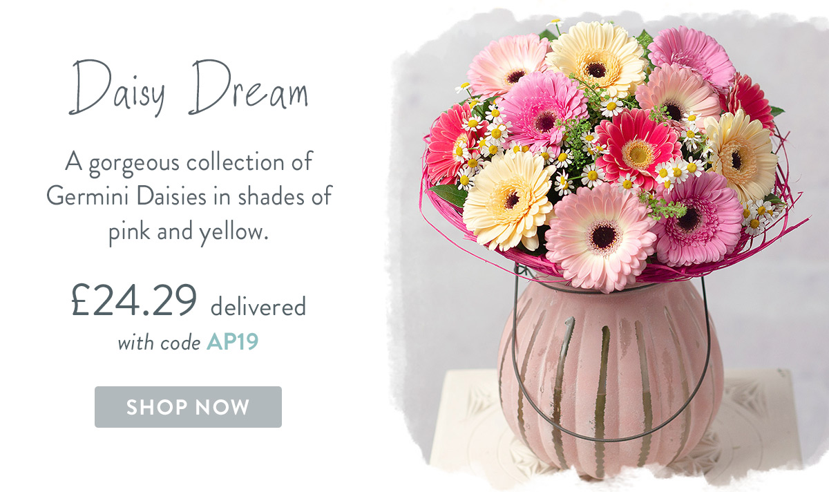 Daisy Dream - only &pound;24.29