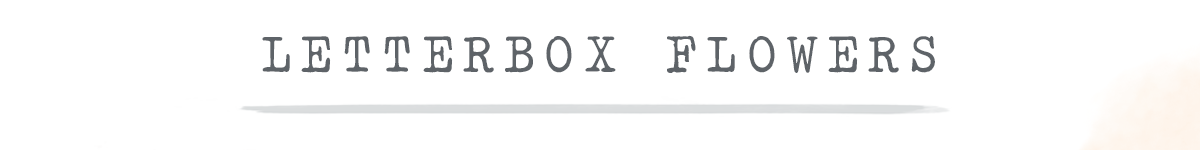 Letterbox Flowers