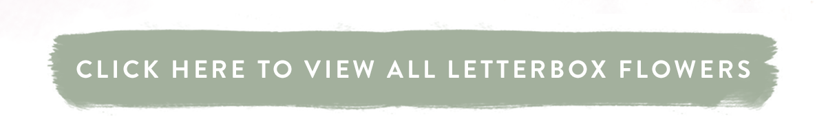 Click here to view all Letterbox Flowers