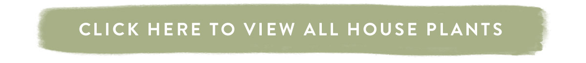 Click here to view all House Plants