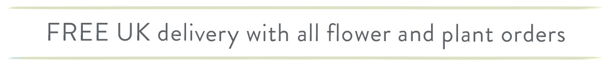 Free UK delivery on all flowers and plants