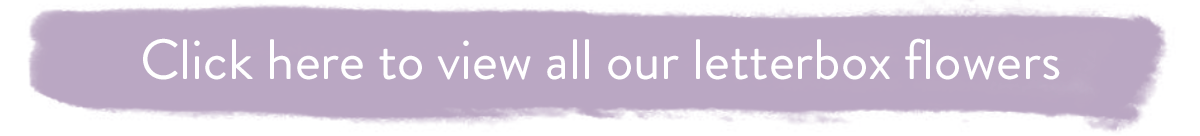 Click here to view all our letterbox flowers