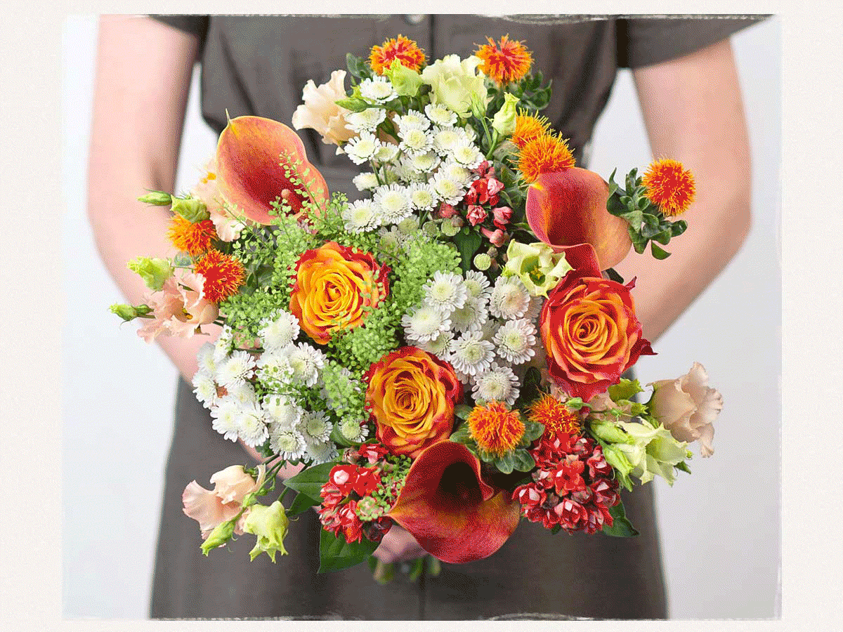 View all Autumn Flowers here