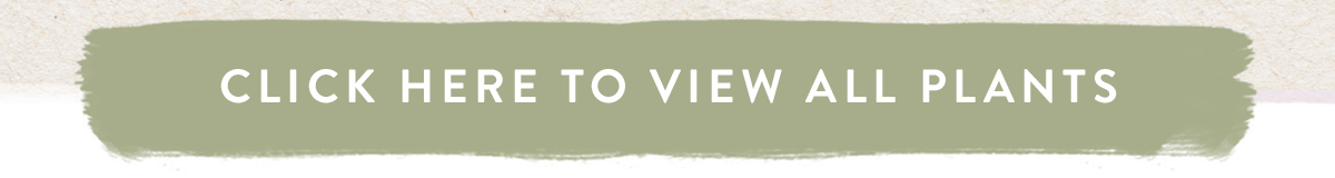 Click here to view all house plants