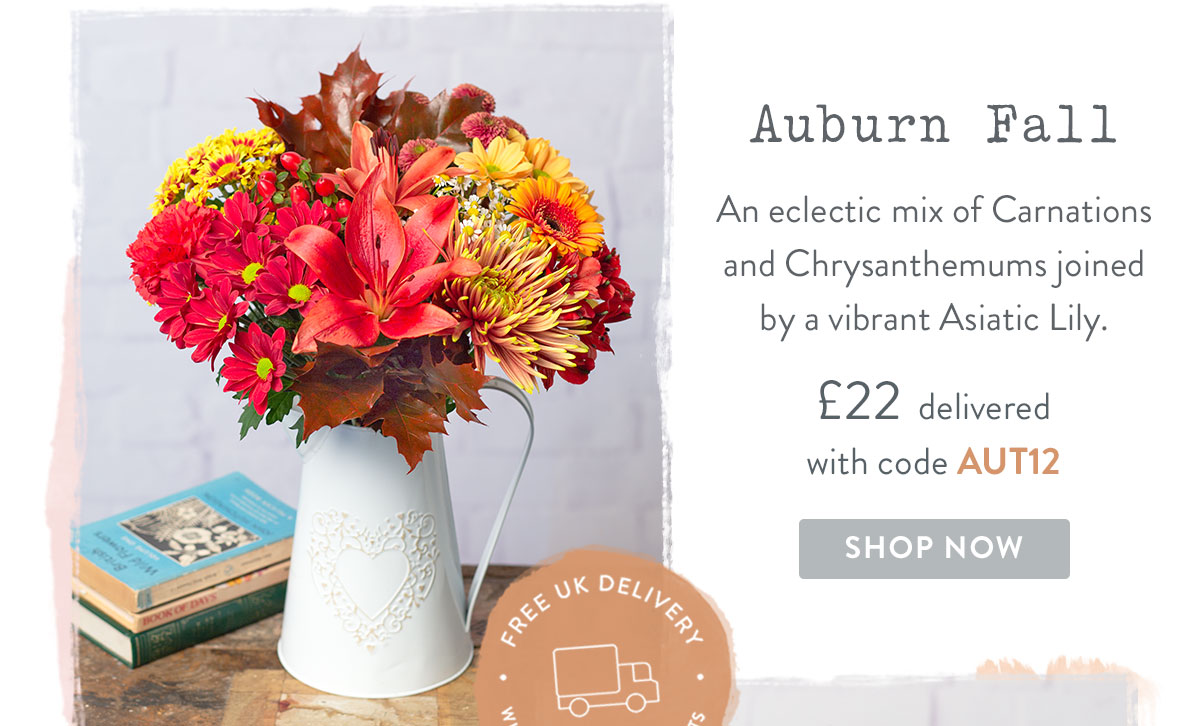 Auburn Fall - only &pound;22