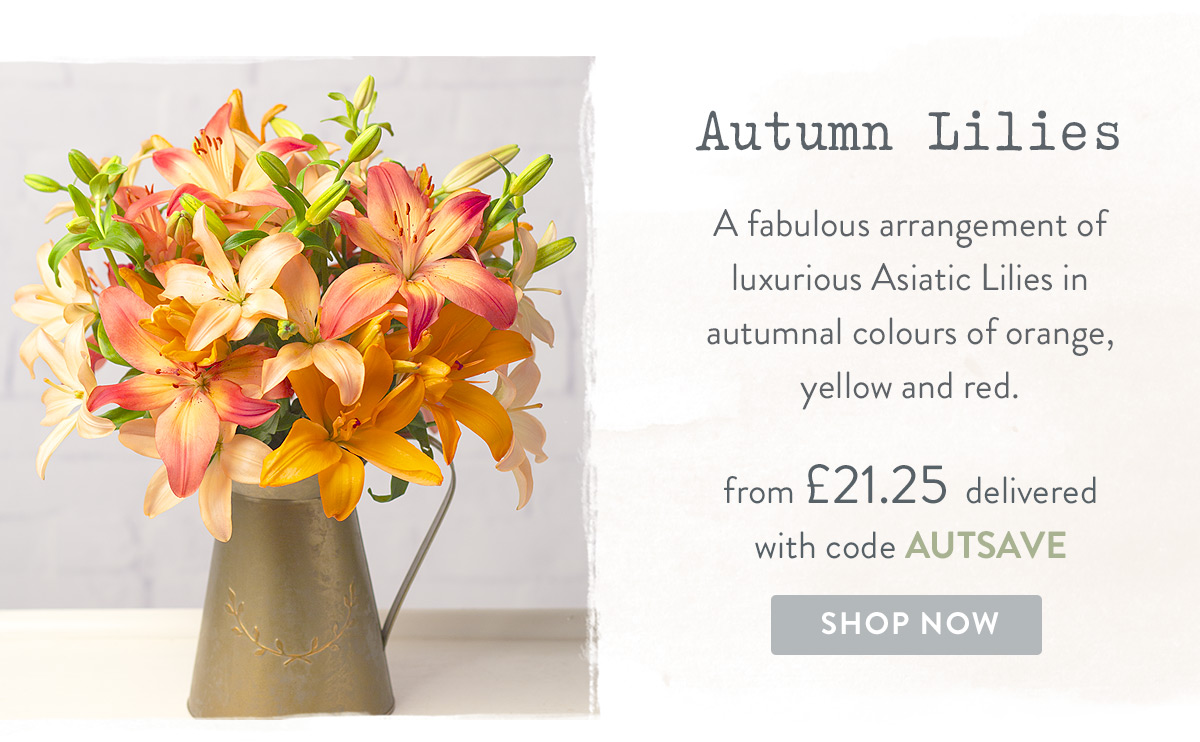 Autumn Lilies - from only &pound;21.25