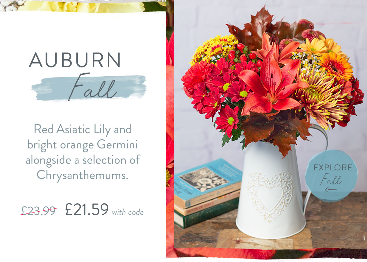 Auburn Fall - Only &pound;21.59