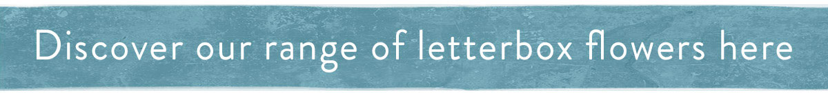 Discover our range of letterbox flowers here