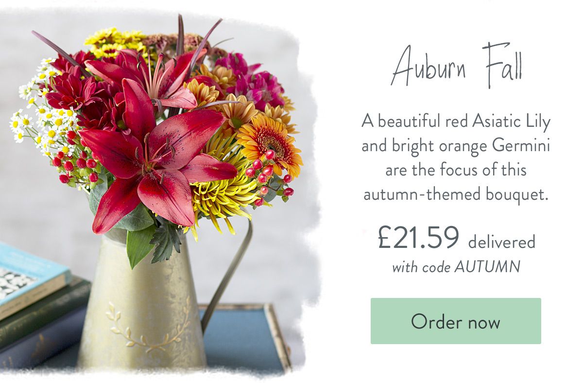Auburn Fall - Only &pound;21.59