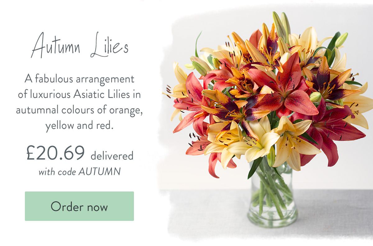 Autumn Lilies - Only &pound;20.69