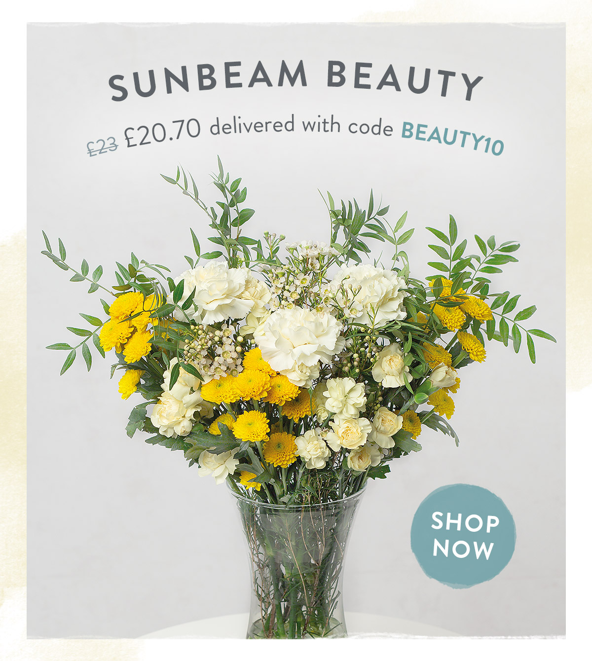 Sunbeam Beauty - only &pound;20.70 delivered
