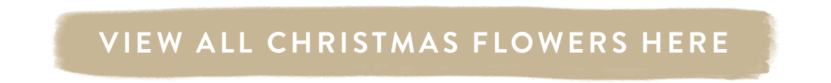 View all Christmas flowers here