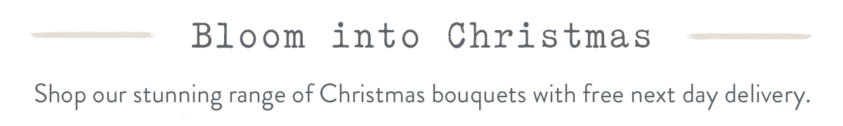 Bloom into Christmas