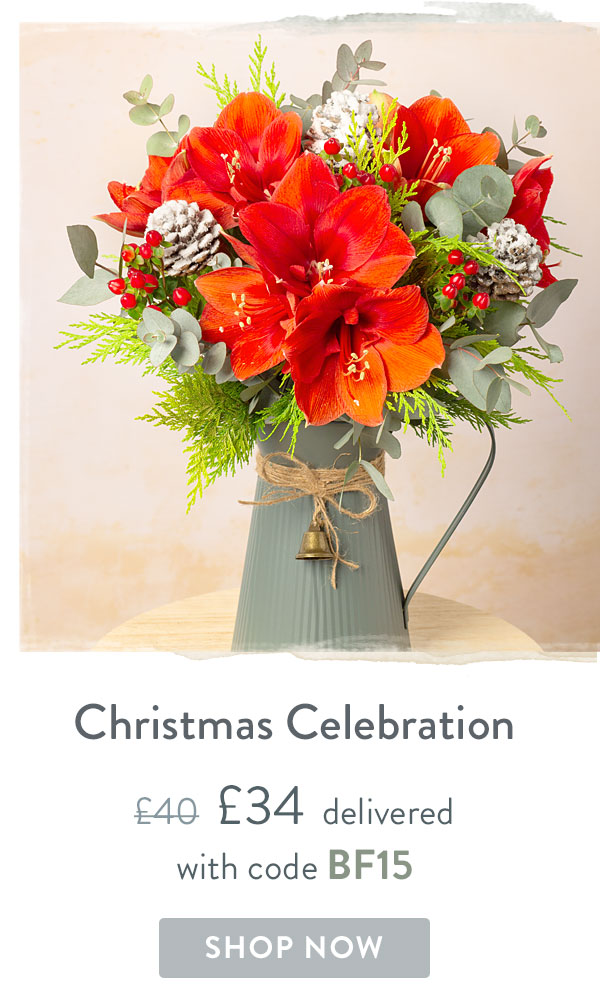 Christmas Celebration - Only &pound;34 delivered with code