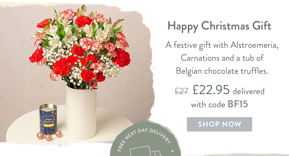 Happy Christmas Gift - Only &pound;22.95 with code