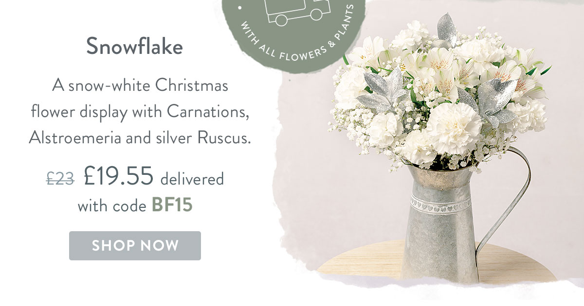 Snowflake - Only &pound;19.55 with code