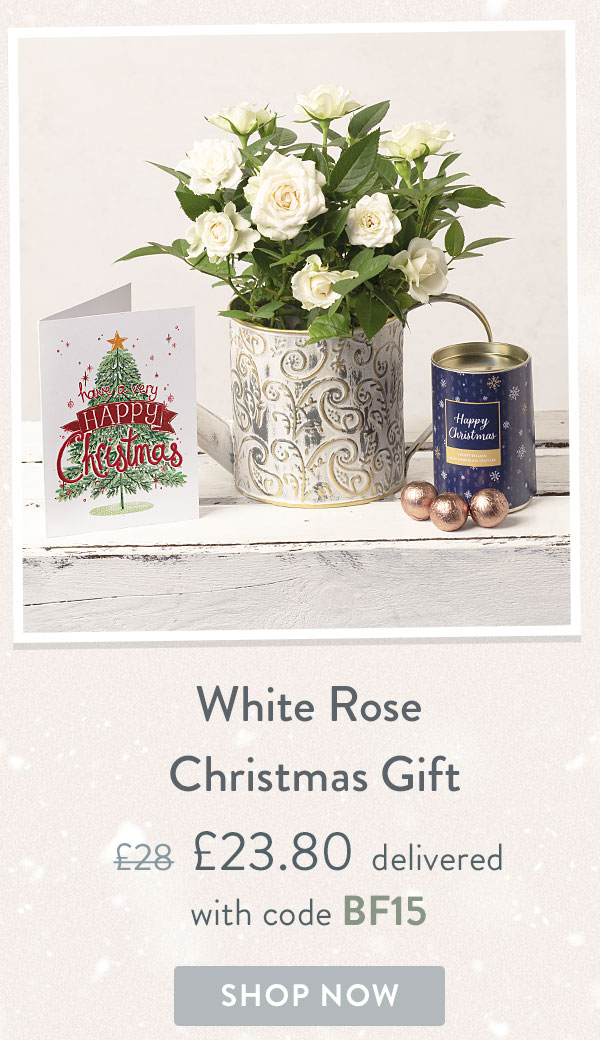 White Rose Christmas Gift - Only &pound;23.80 delivered with code