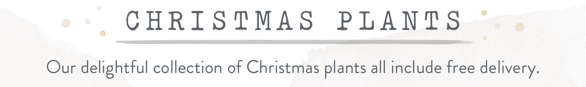 Christmas Plants