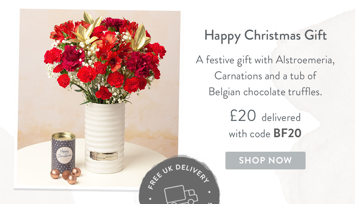 Happy Christmas Gift - only &pound;20 with promo code