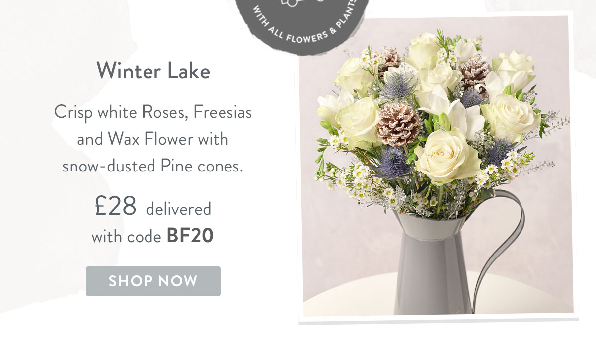 Winter Lake - only &pound;28 with promo code