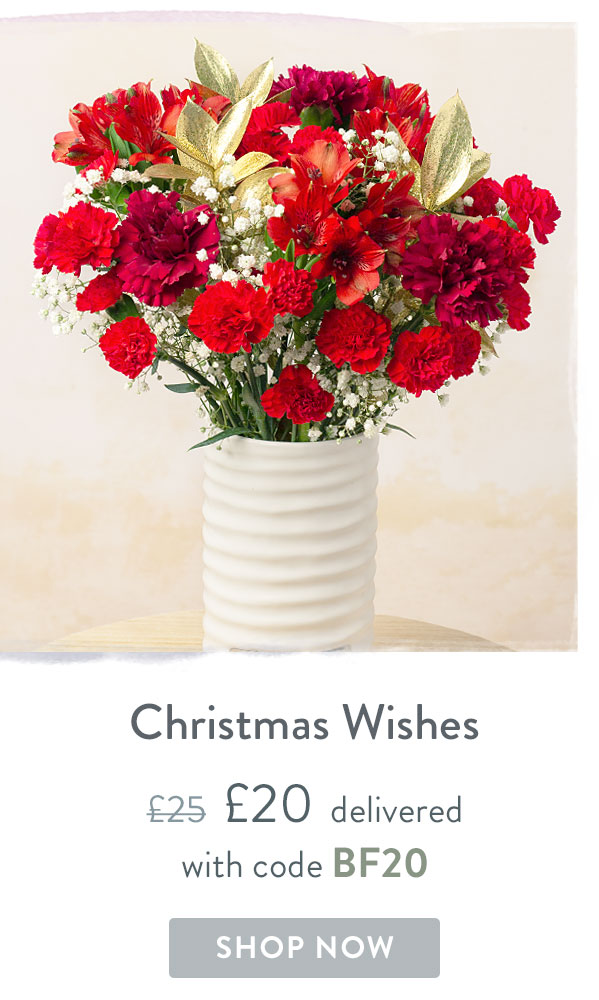Christmas Wishes - Only &pound;20 delivered with code