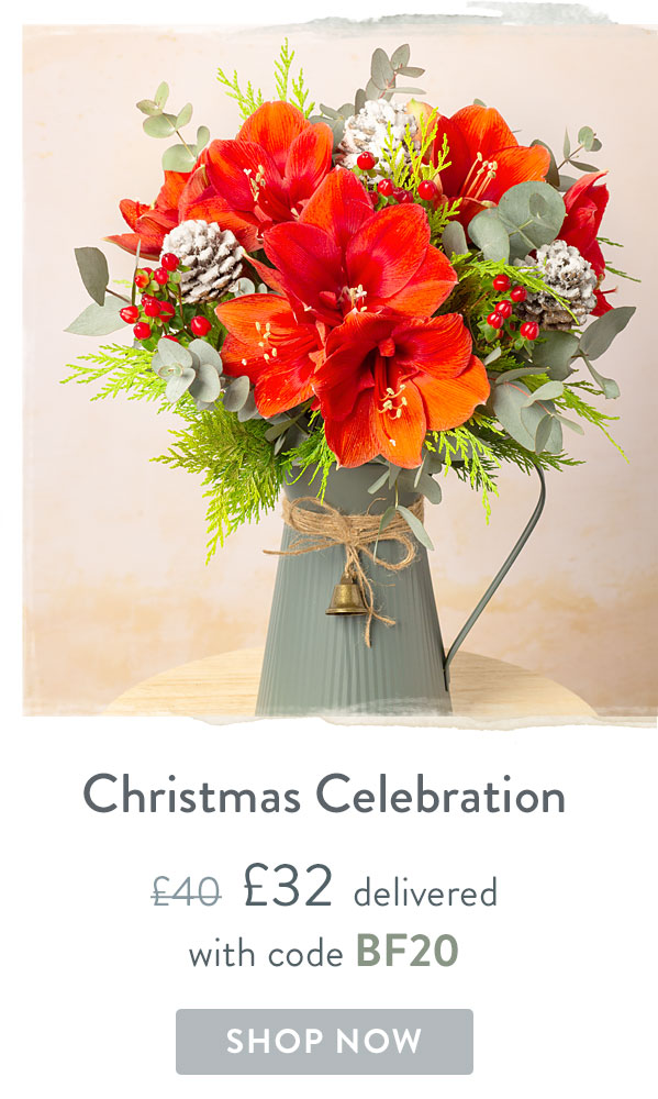 Christmas Celebration - Only &pound;32 delivered with code