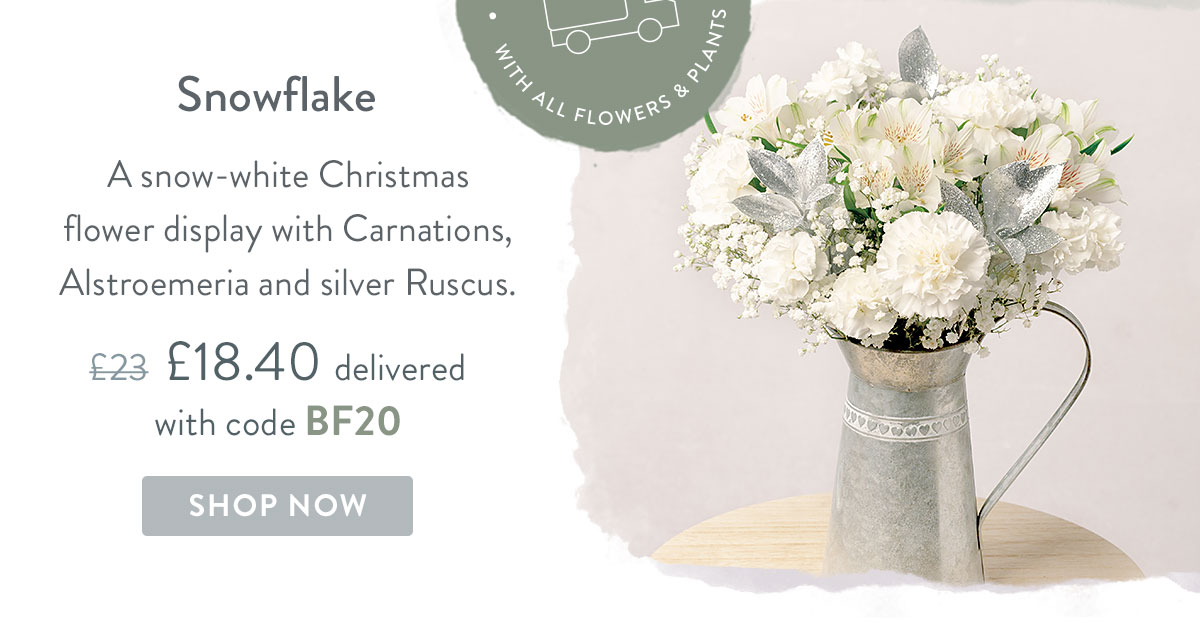 Snowflake - Only &pound;18.40 with code