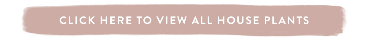 Click here to view all House Plants