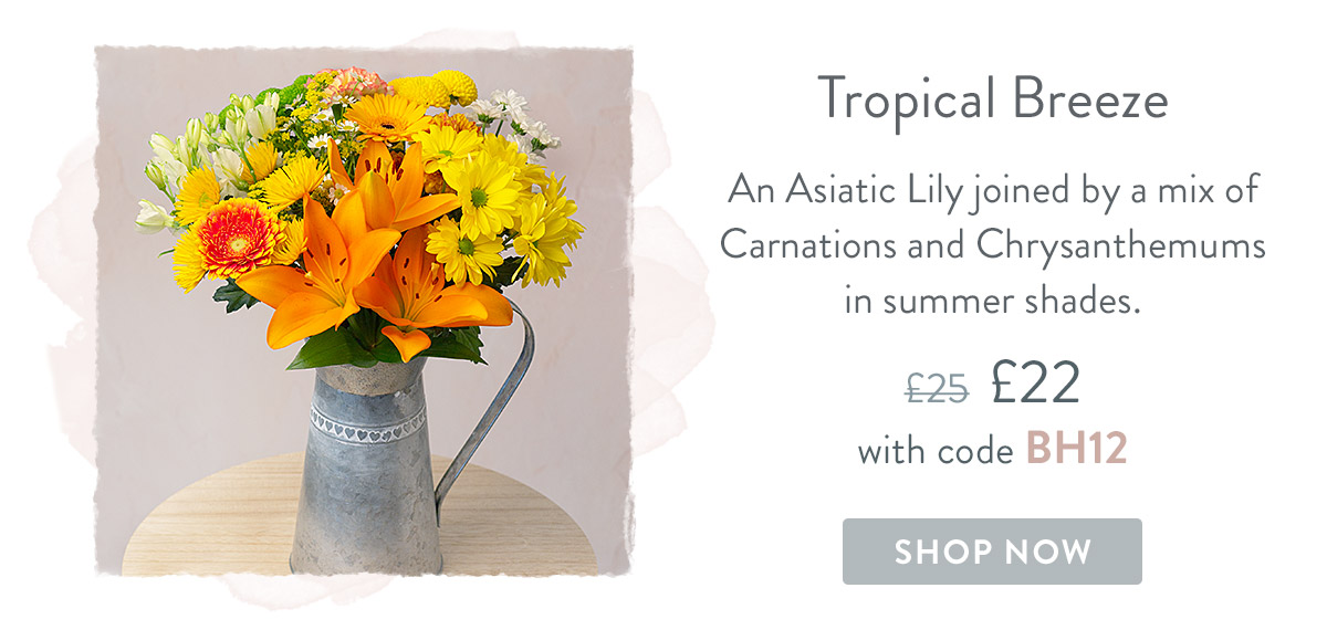 Tropical Breeze - only &pound;22