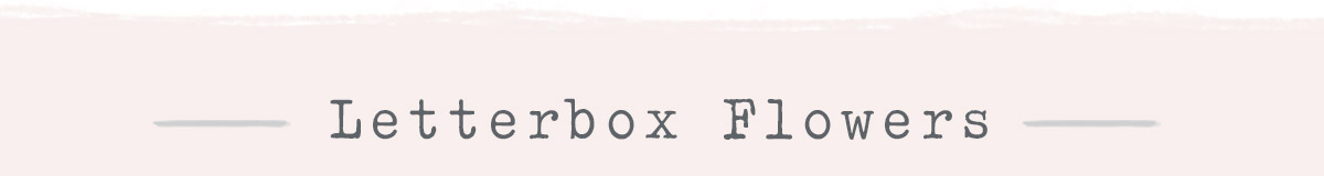 Letterbox Flowers